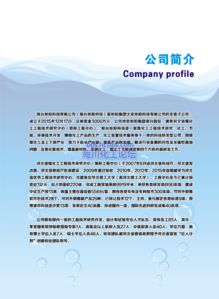 煤化工技術(shù)推廣策略 以邢臺(tái)旭陽(yáng)科技與海川化工論壇網(wǎng)聯(lián)合推動(dòng)市場(chǎng)營(yíng)銷策劃為例